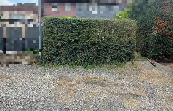 Grünfläche nach der Pflege